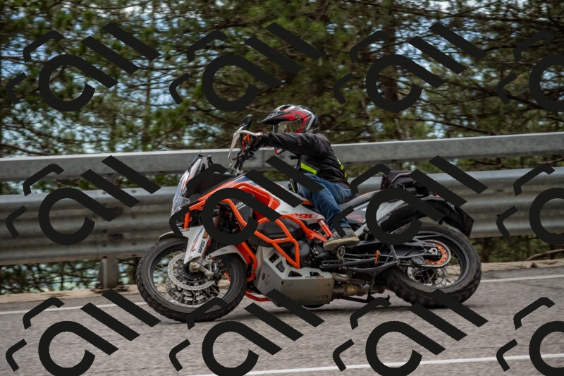 202506011505-DSC_6590_c4_