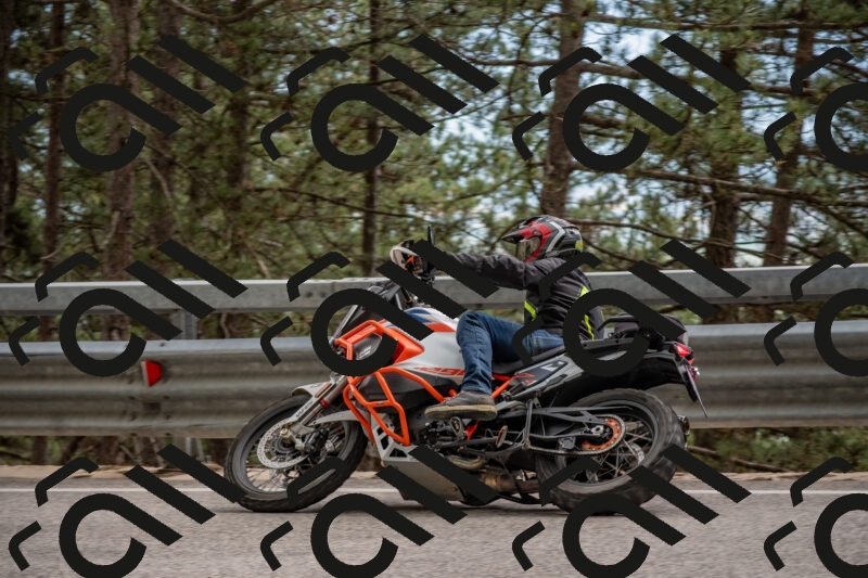 202506011505-DSC_6591_c4_