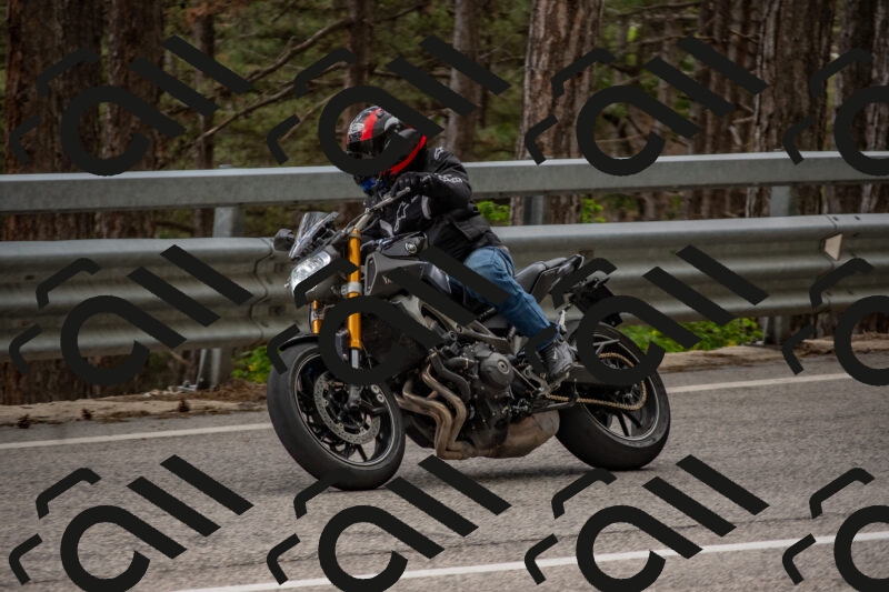 202506011505-DSC_6595_c4_