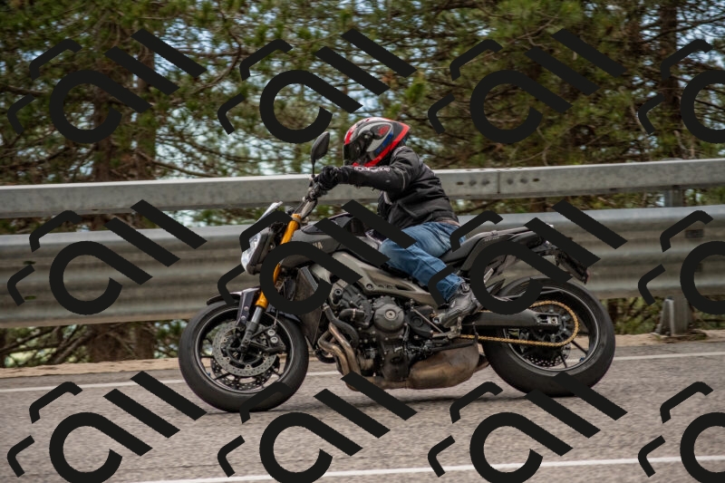 202506011505-DSC_6596_c4_