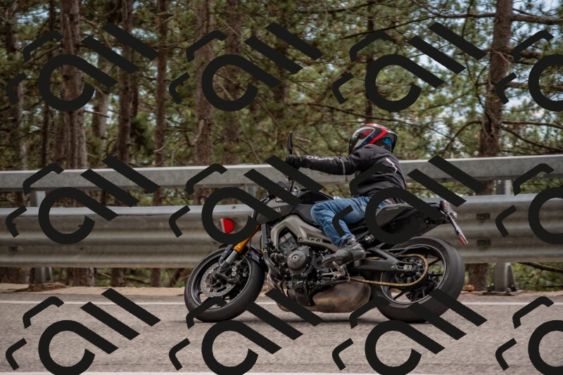 202506011505-DSC_6597_c4_