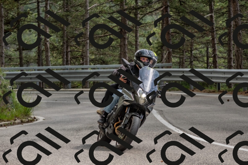 202506011506-DSC_6598_c4_