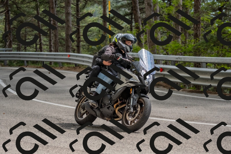 202506011506-DSC_6599_c4_