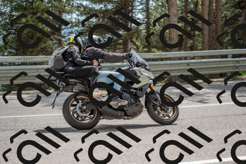 202506011506-DSC_6601_c4_