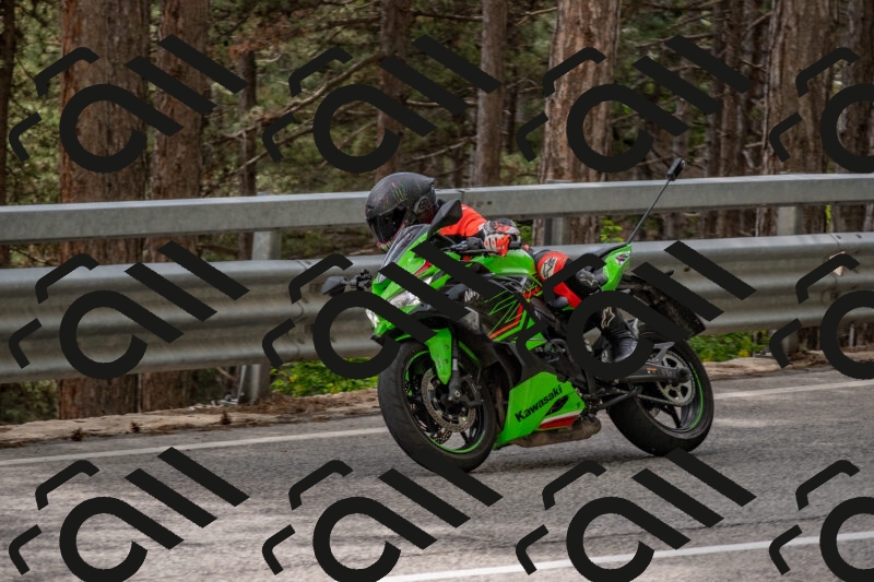 202506011507-DSC_6603_c4_