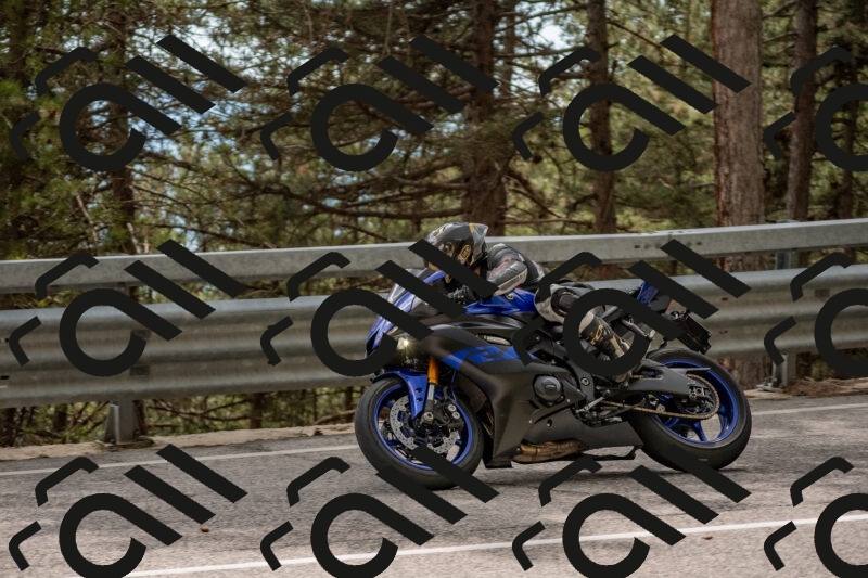 202506011507-DSC_6606_c4_