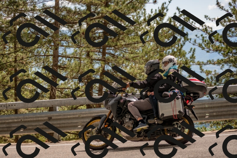 202506011507-DSC_6612_c4_