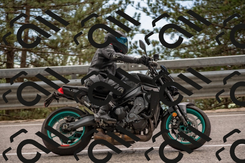 202506011508-DSC_6628_c4_