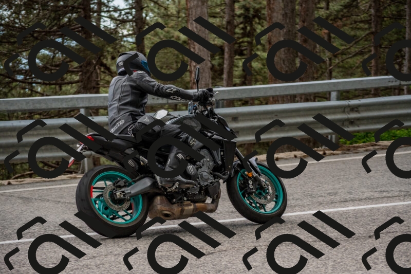 202506011508-DSC_6629_c4_