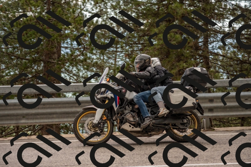 202506011509-DSC_6631_c4_