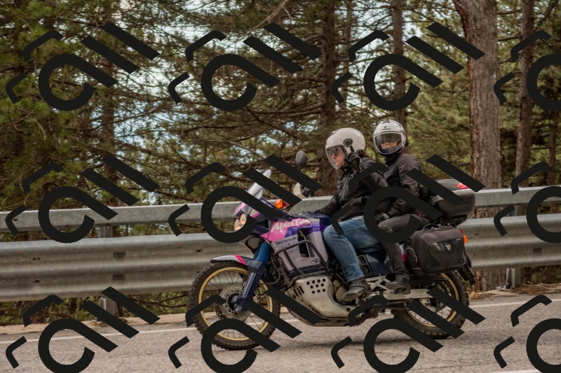 202506011509-DSC_6632_c4_