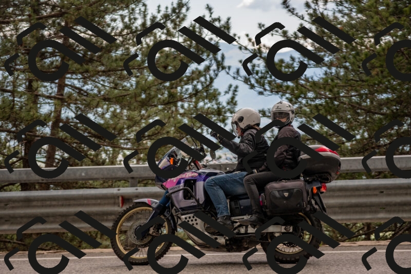 202506011509-DSC_6633_c4_