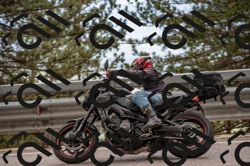 202506011510-DSC_6635_c4_