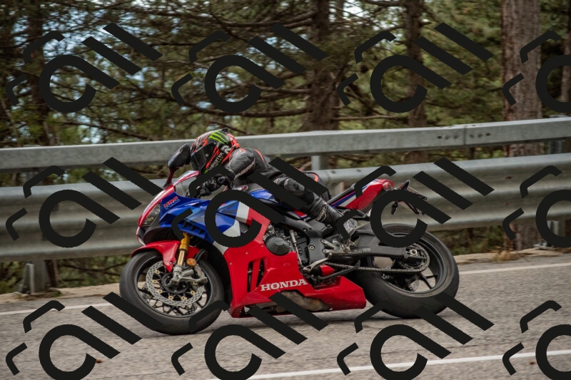 202506011511-DSC_6641_c4_