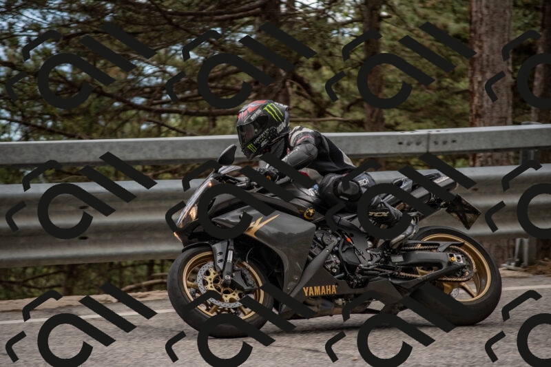 202506011511-DSC_6644_c4_