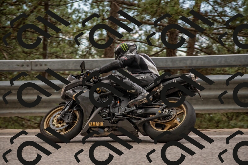 202506011511-DSC_6645_c4_