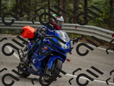 202506011514-DSC_6654_c4_