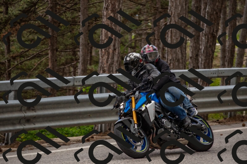 202506011515-DSC_6658_c4_