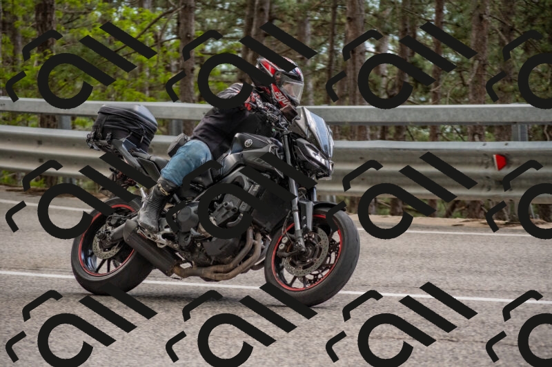 202506011515-DSC_6662_c4_