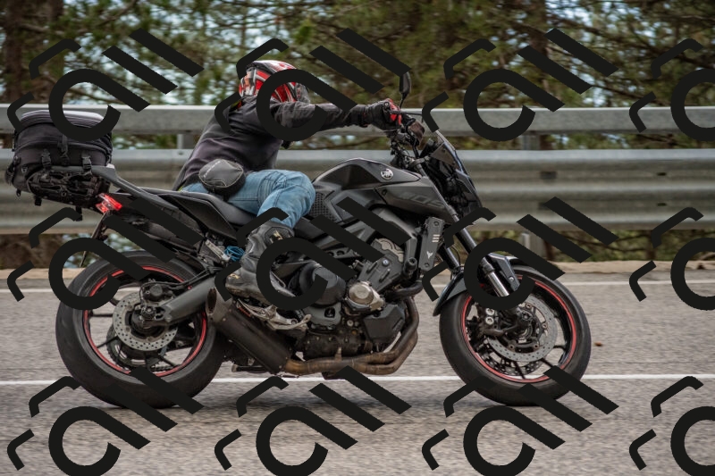 202506011515-DSC_6663_c4_