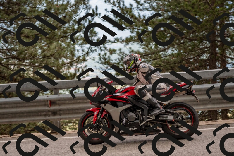 202506011517-DSC_6665_c4_