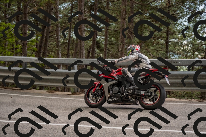 202506011517-DSC_6666_c4_