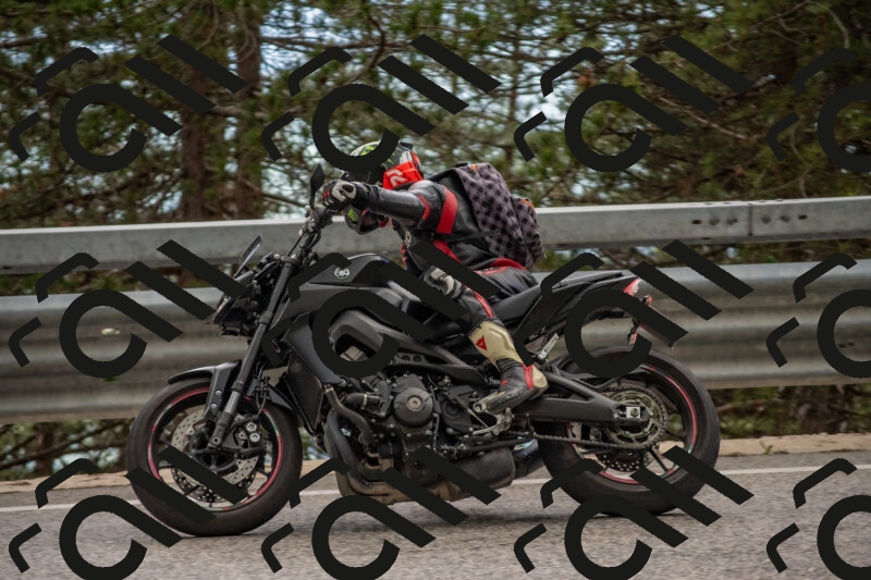 202506011517-DSC_6668_c4_