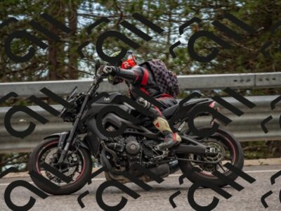 202506011517-DSC_6668_c4_