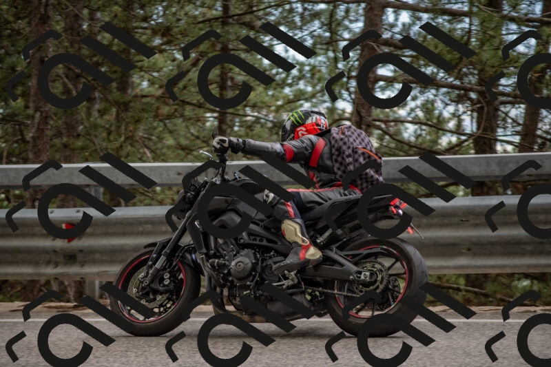 202506011517-DSC_6669_c4_