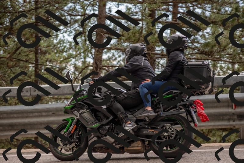 202506011518-DSC_6674_c4_