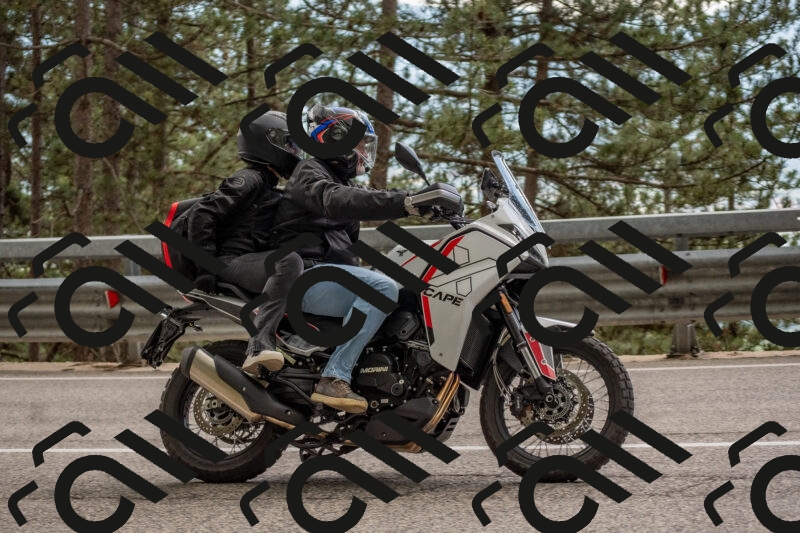 202506011518-DSC_6676_c4_