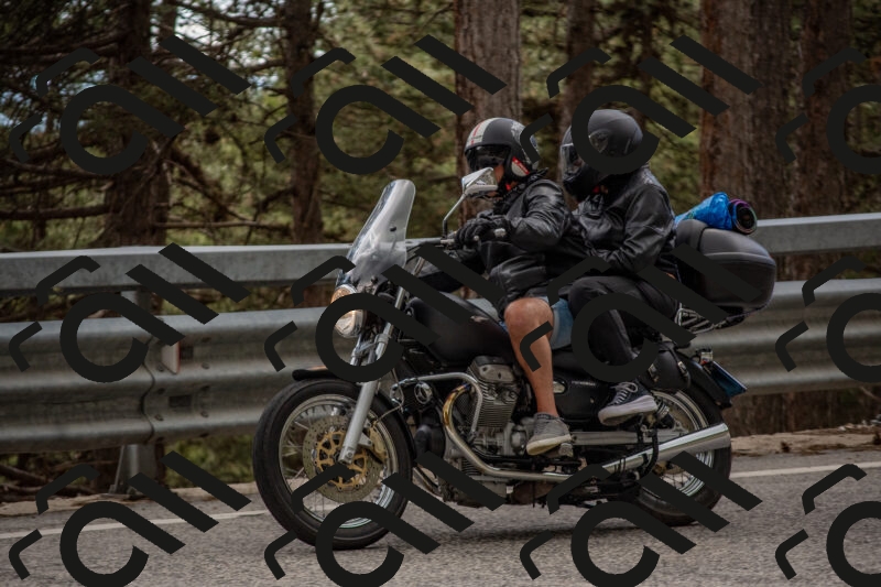 202506011519-DSC_6680_c4_