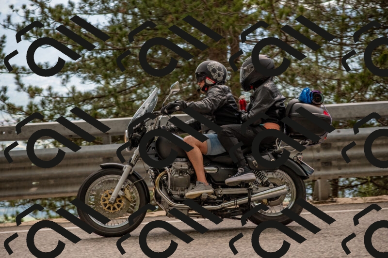 202506011519-DSC_6681_c4_