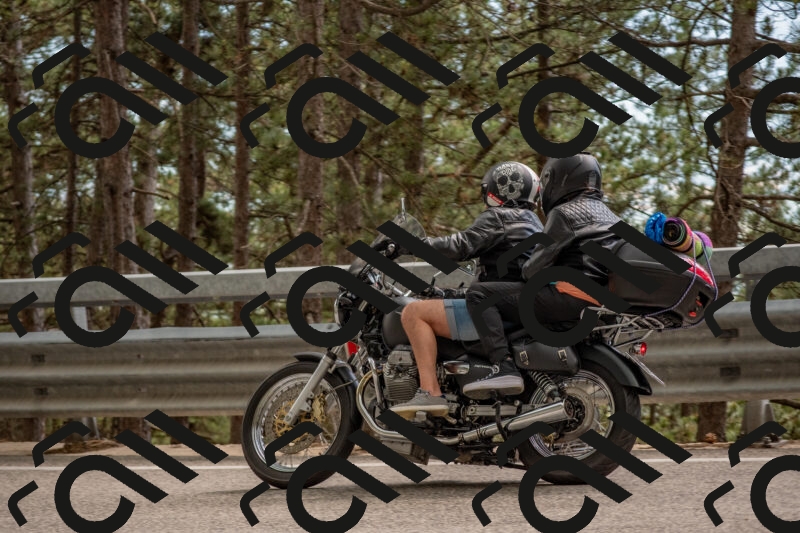 202506011519-DSC_6682_c4_