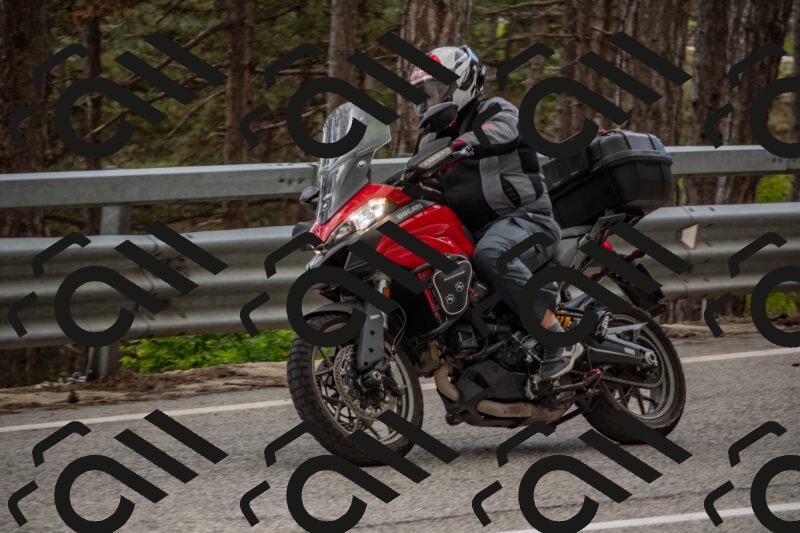 202506011519-DSC_6683_c4_