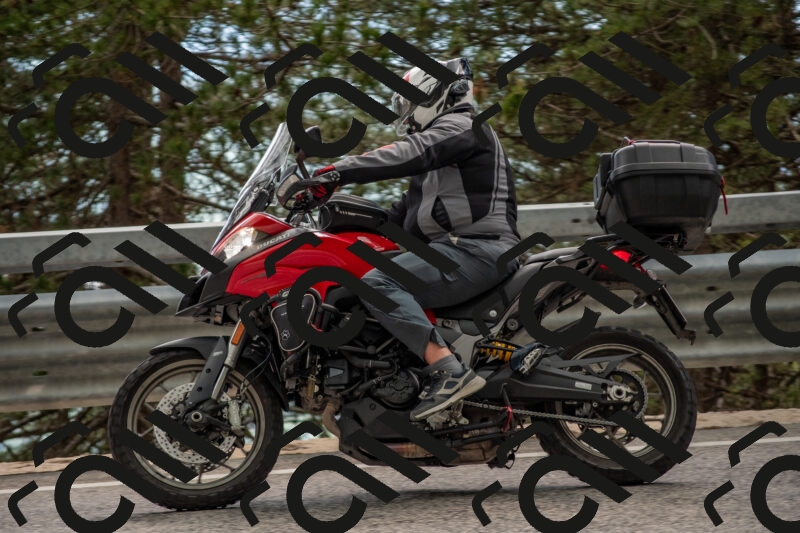 202506011519-DSC_6684_c4_