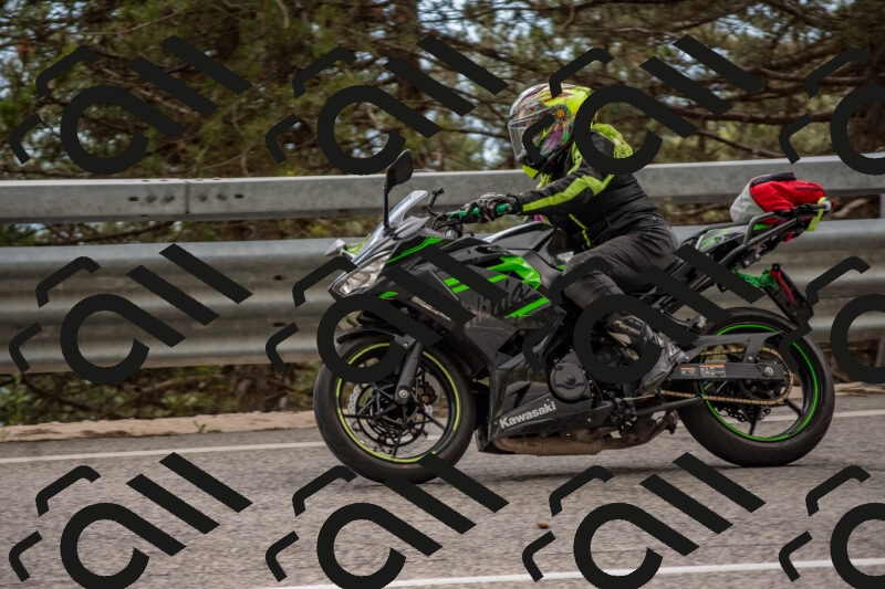 202506011519-DSC_6685_c4_