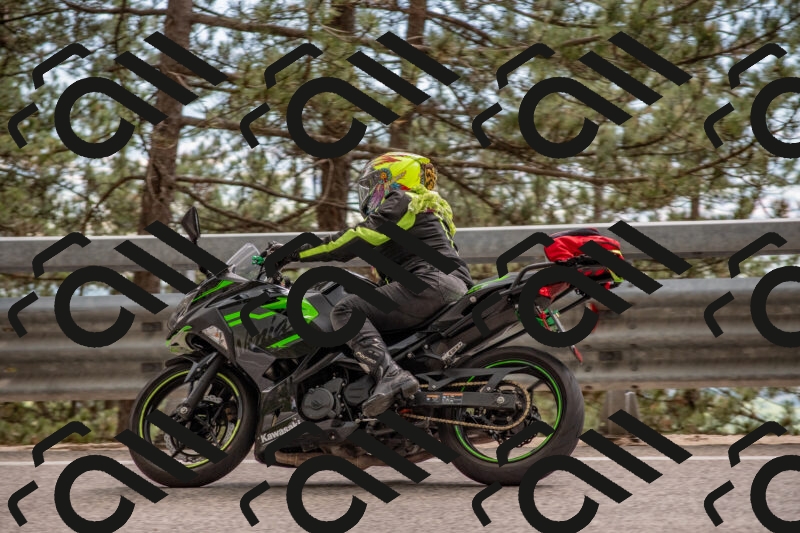 202506011519-DSC_6686_c4_