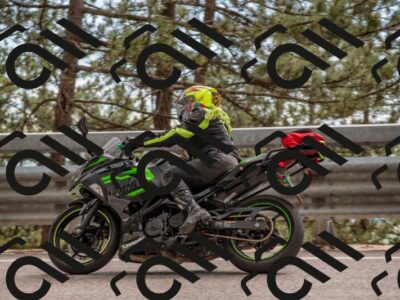 202506011519-DSC_6686_c4_