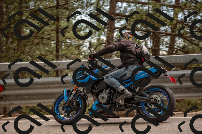 202506011519-DSC_6689_c4_