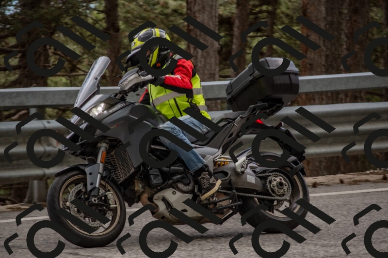 202506011520-DSC_6690_c4_