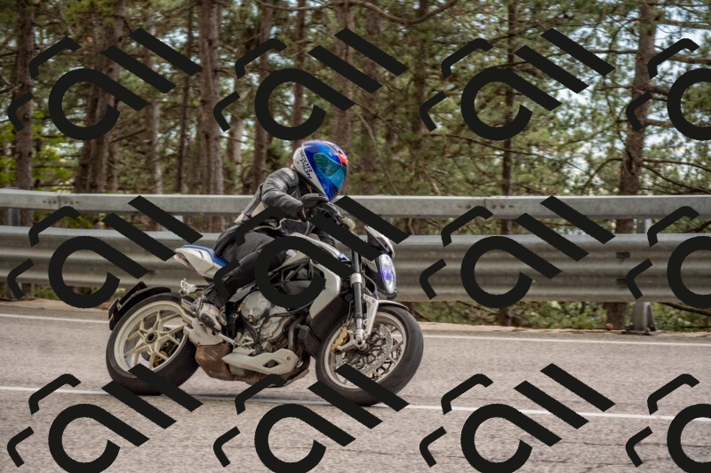 202506011521-DSC_6695_c4_