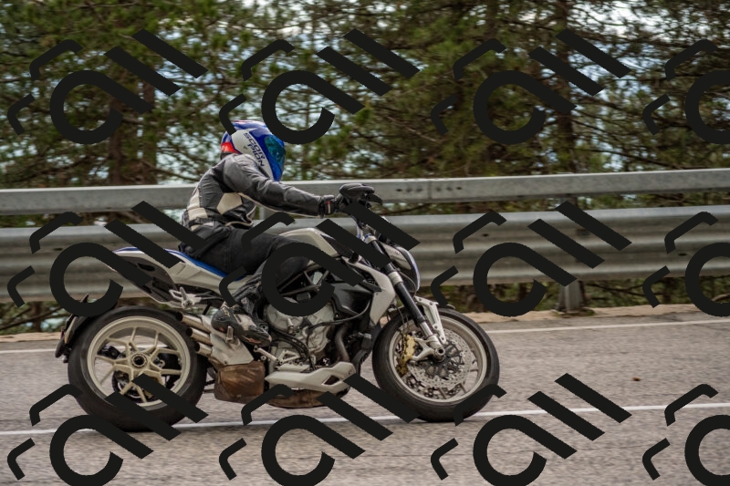 202506011521-DSC_6696_c4_