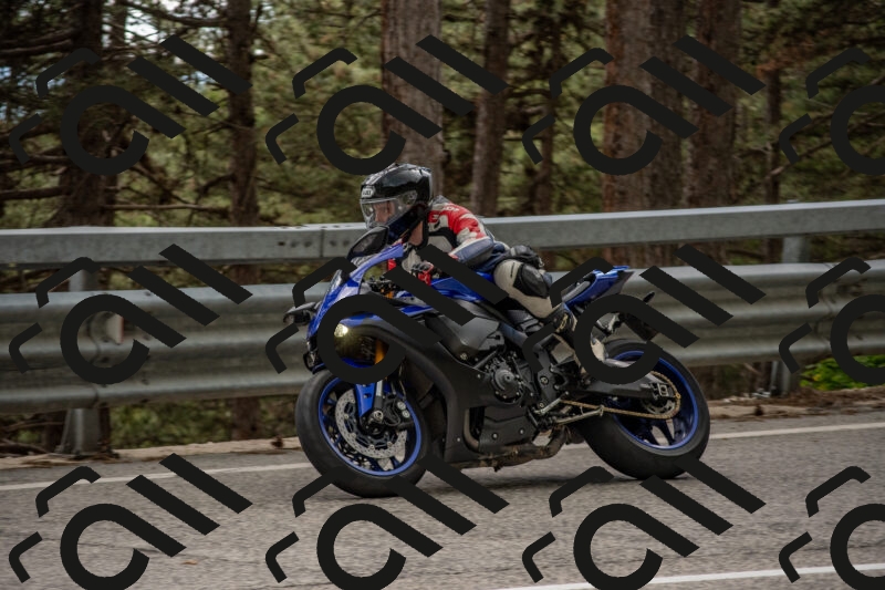 202506011524-DSC_6698_c4_