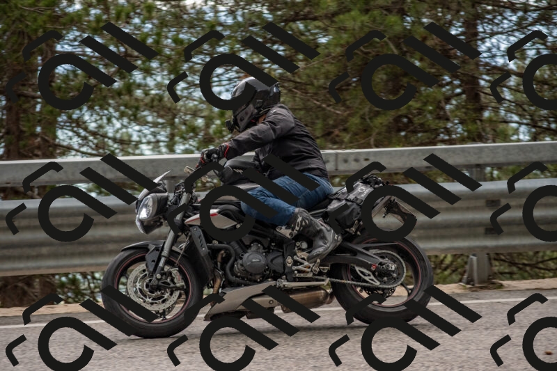 202506011524-DSC_6701_c4_