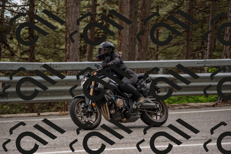 202506011524-DSC_6703_c4_