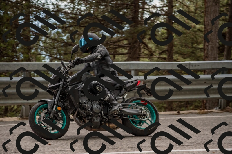 202506011524-DSC_6704_c4_