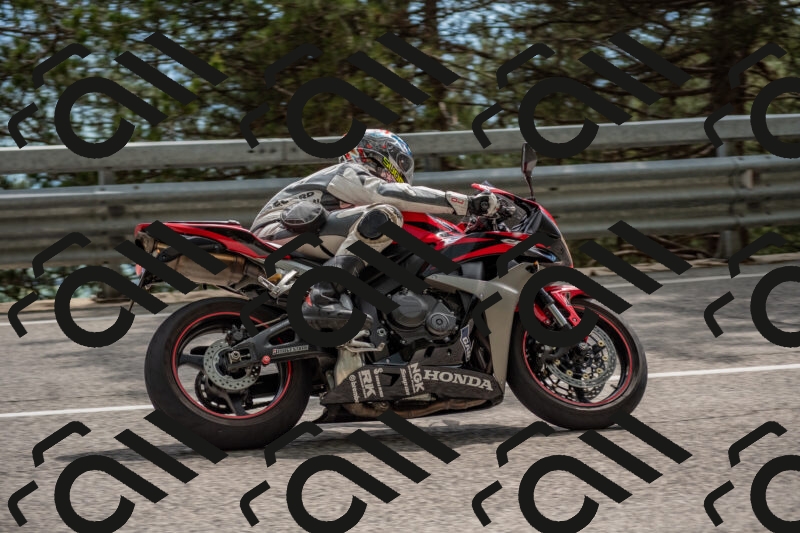 202506011525-DSC_6708_c4_