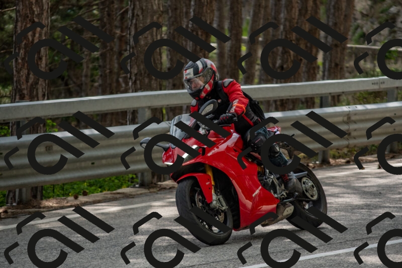 202506011525-DSC_6709_c4_