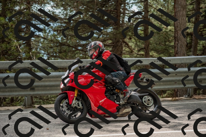 202506011525-DSC_6710_c4_